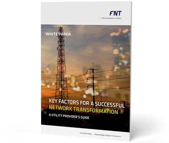 Whitepaper: Key Factors for a successful Network Transformation