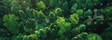 FNT blog post on sustainability in data centers, IT and network infrastructures