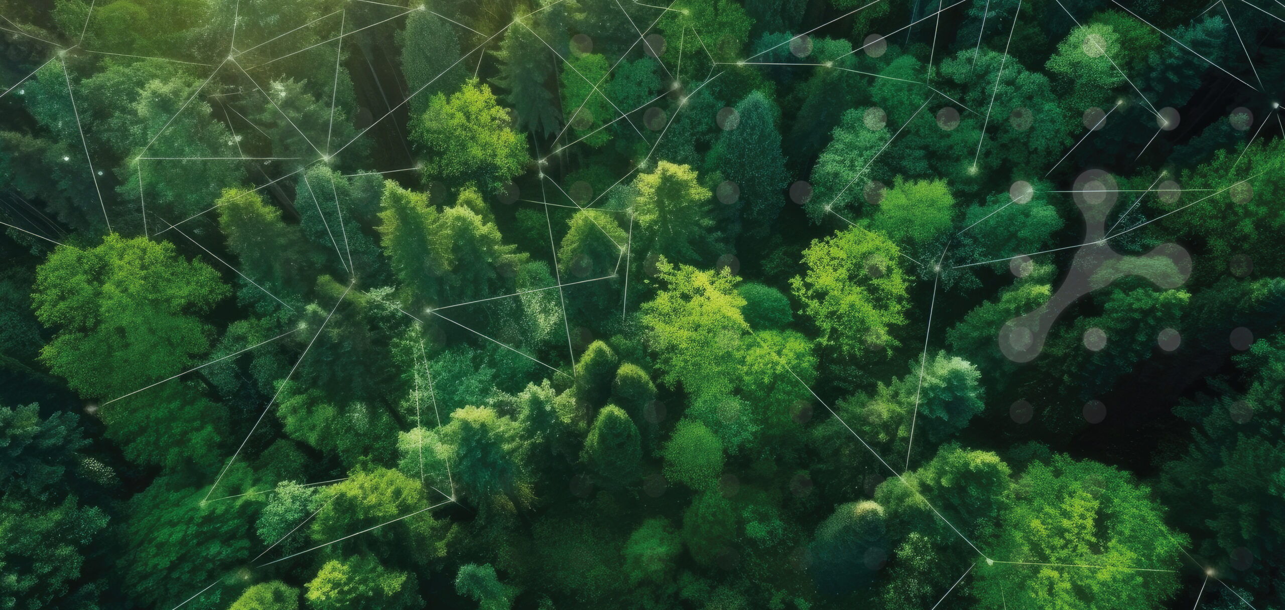 FNT blog post on sustainability in data centers, IT and network infrastructures